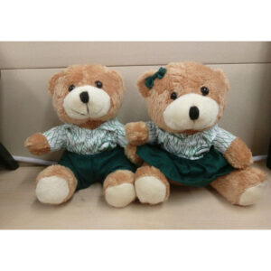Casuarina Primary School Teddy Bear
